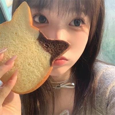 山中森林